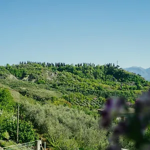 Maison d'hôtes Bujtina Anlu, Nepravishte